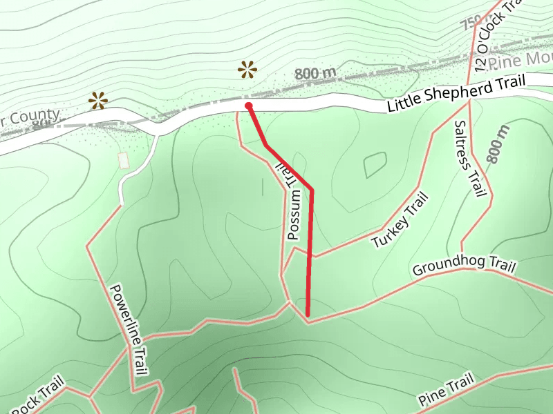 Possum Trail