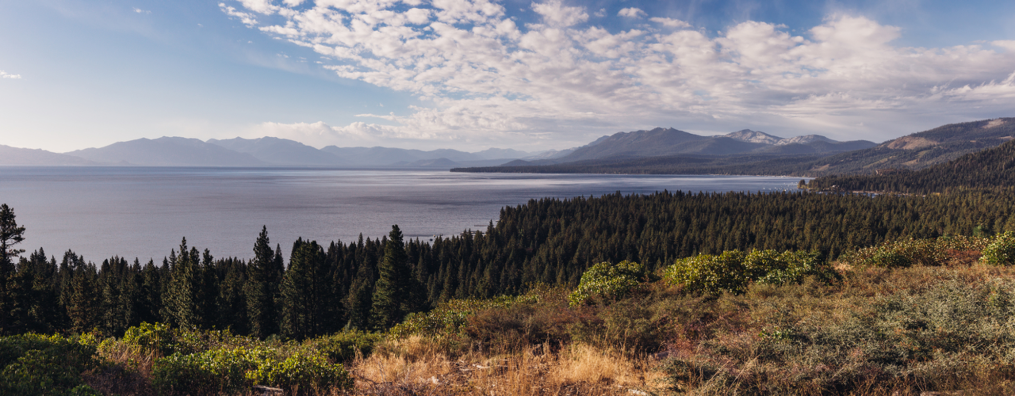 An image depicting the trail Eagle Meadows Trail via Stony Ridge Lake and Tahoe Yosemite Trail and its surrounding area.