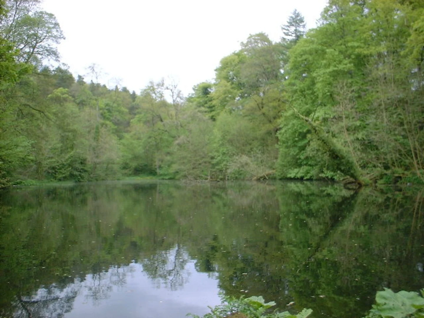 An image depicting the trail Skipton Woods, Tarn Moor Bridge and Haw Laithe Loop and its surrounding area.