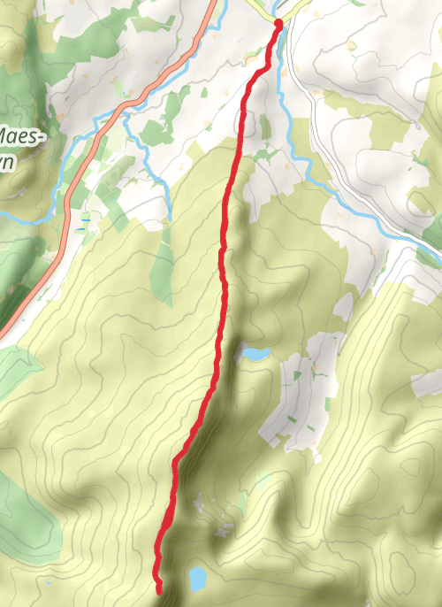 Hike on Aran Benllyn and Aran Fawddwy from Llanuwchllyn mobile static map