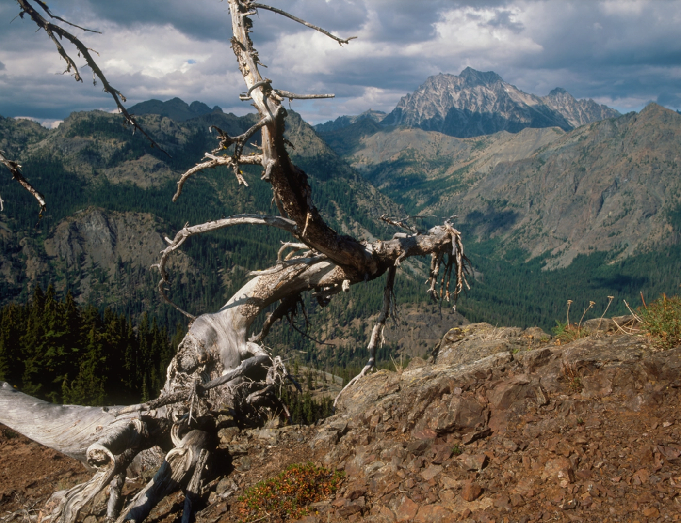 An image depicting the trail Elsnor Mine Trail via Middle Fork Teanaway Trail and its surrounding area.