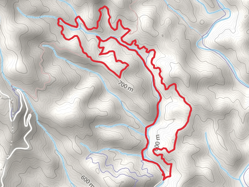 Bear Creek Loop