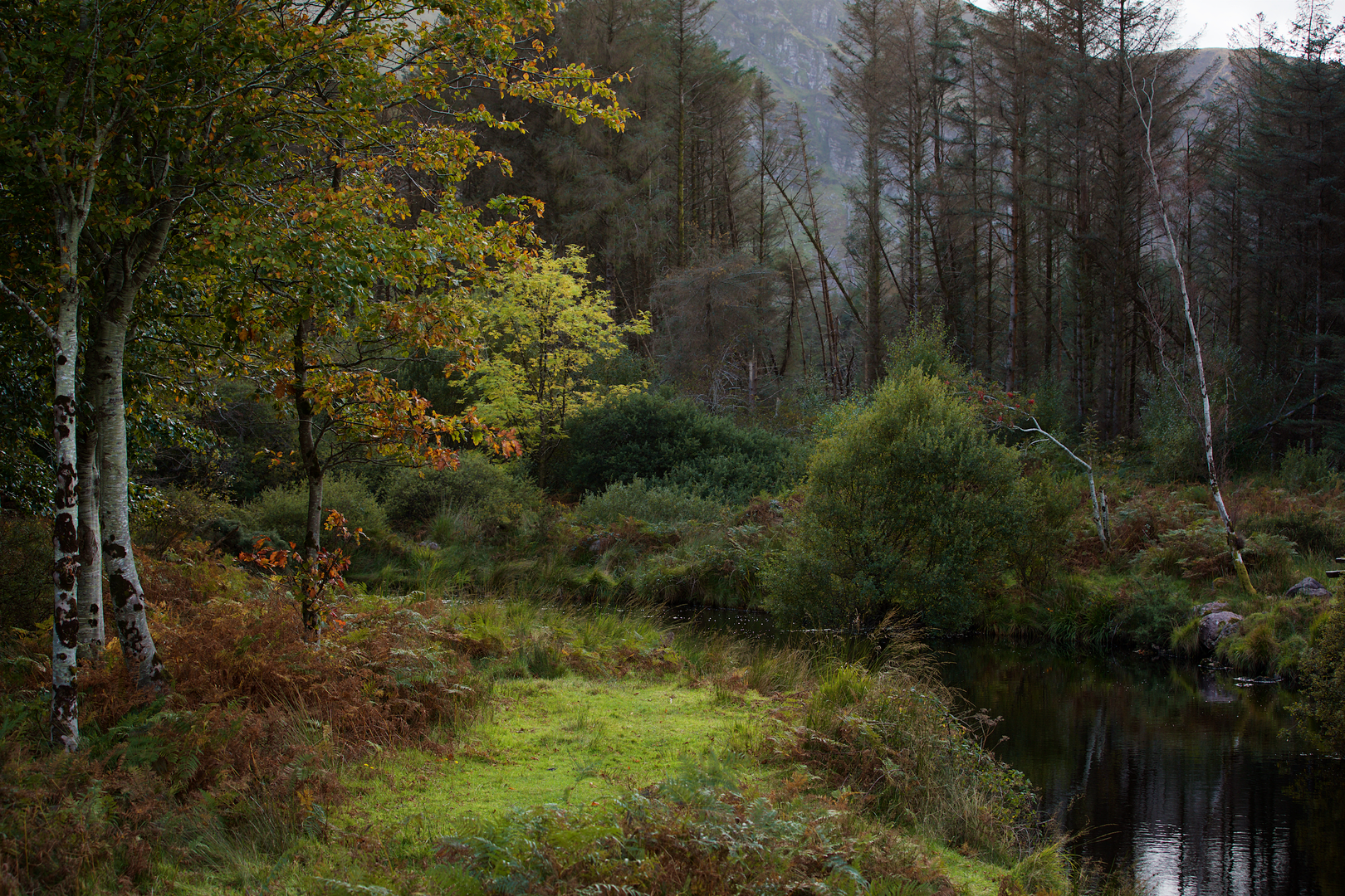 An image depicting the trail Glanteenassig - River Trail and its surrounding area.