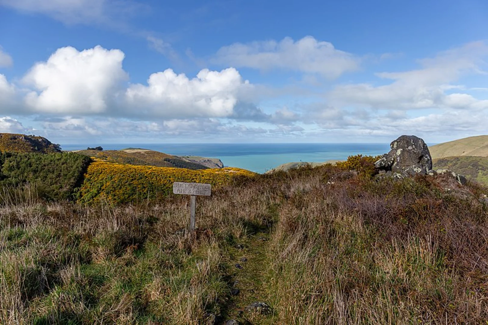 An image depicting the trail Kereru Track and its surrounding area.
