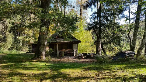 Neues Sudholz Loop