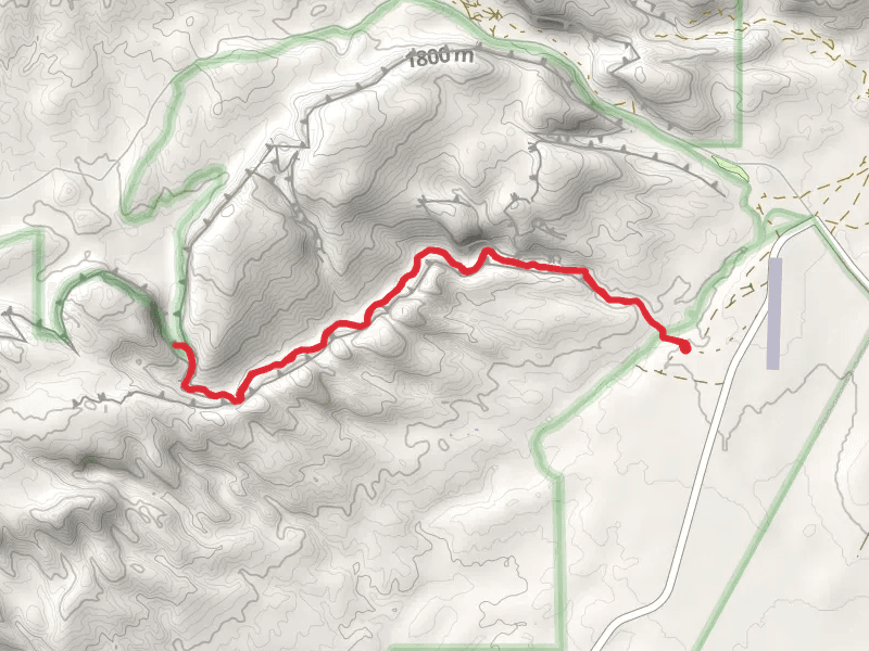 Wild Horse Canyon