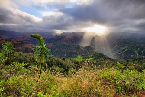 Kukui Trail