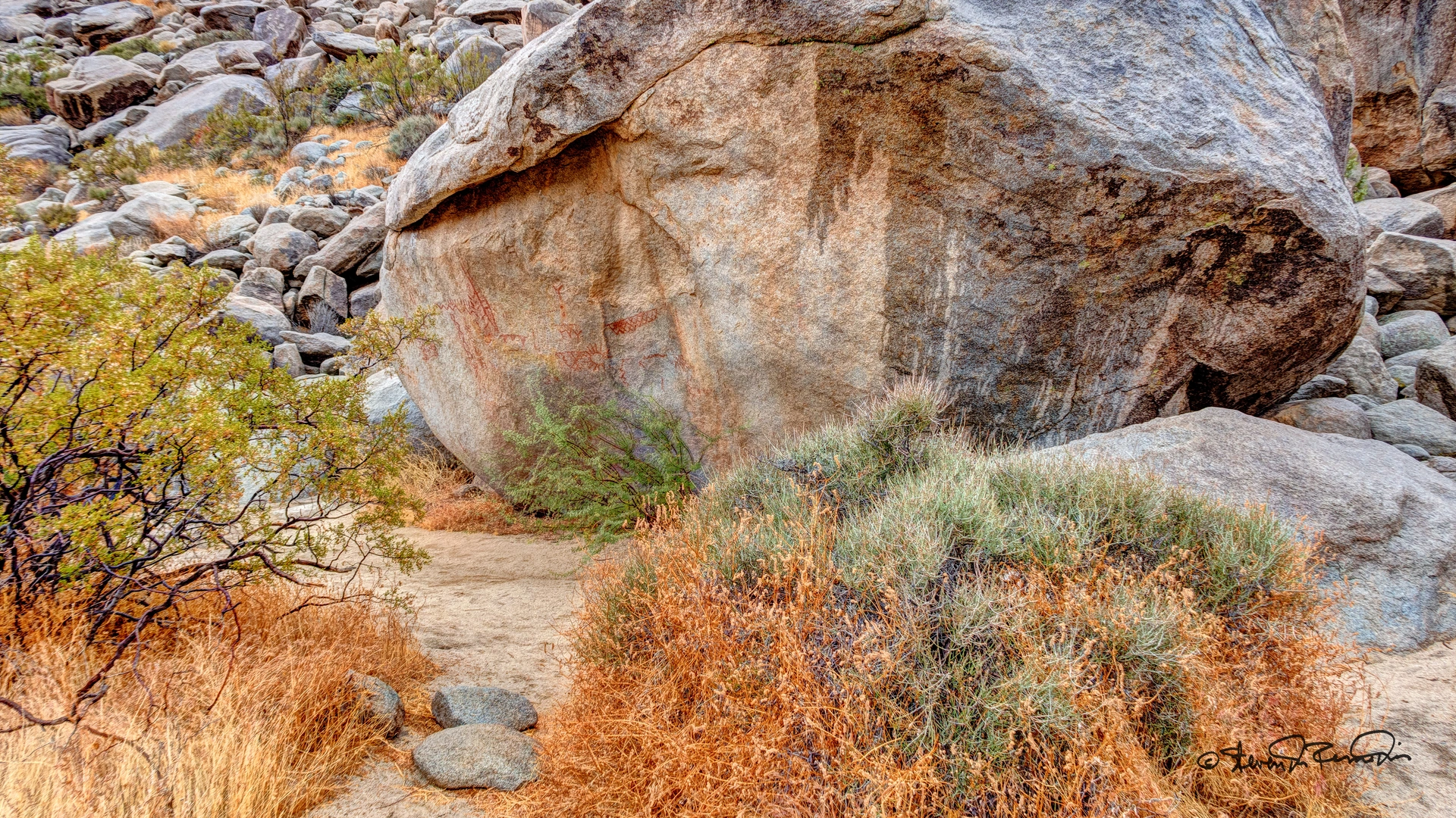 An image depicting the trail Smuggler Canyon Trail and its surrounding area.