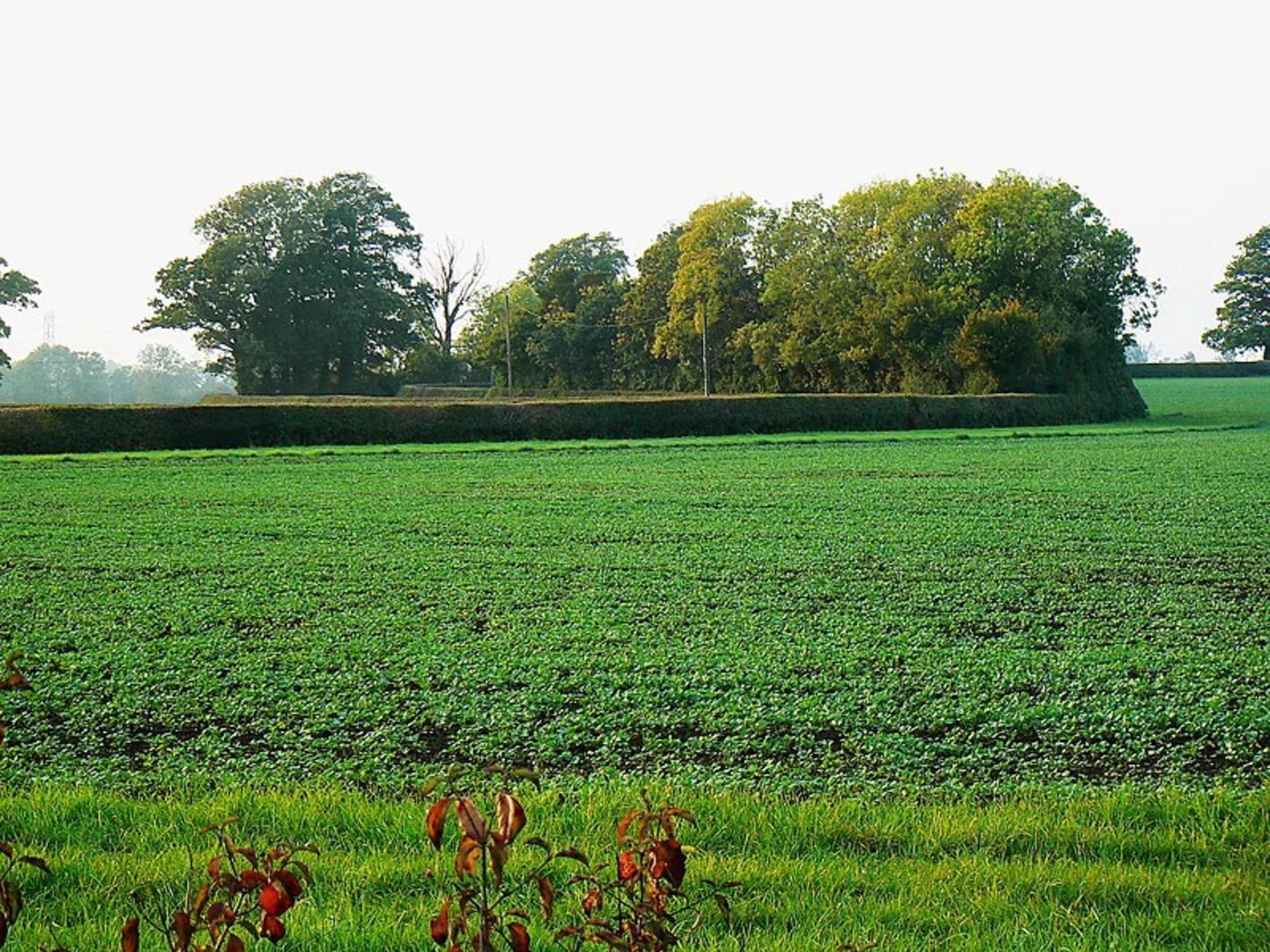 An image depicting the trail Three Villages Walk and its surrounding area.