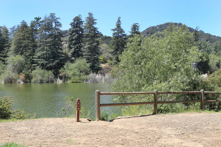 Upper Franklin Canyon Reservoir Loop