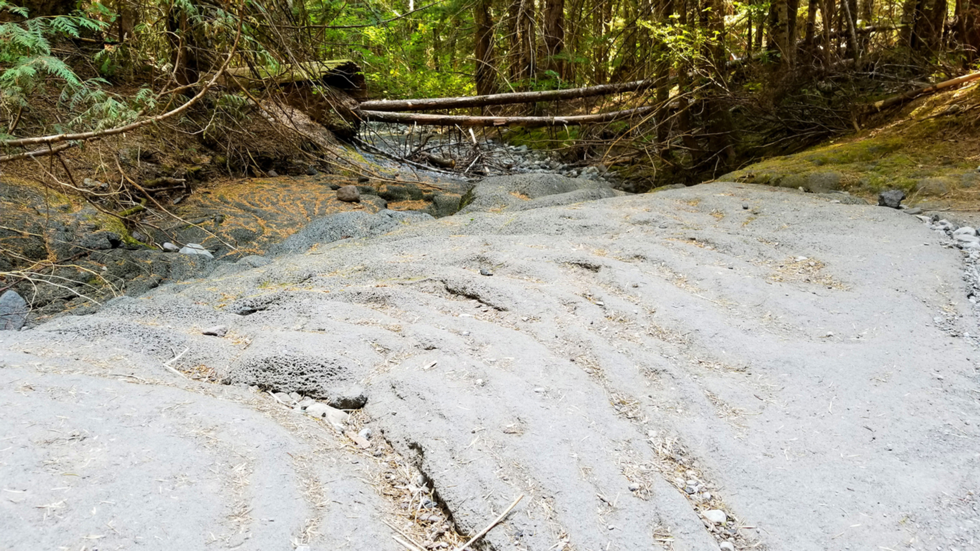An image depicting the trail Lower Ape Cave - Passage Trail and its surrounding area.