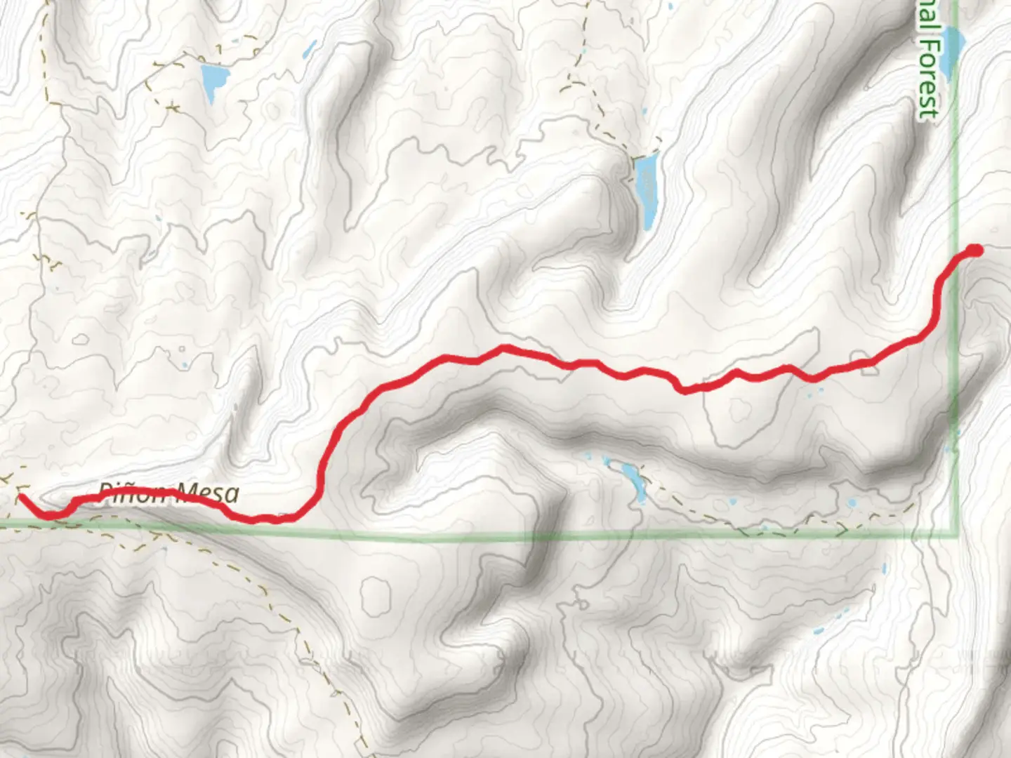 Pinon Mesa via Ridge Walk | Mesa County | Colorado
