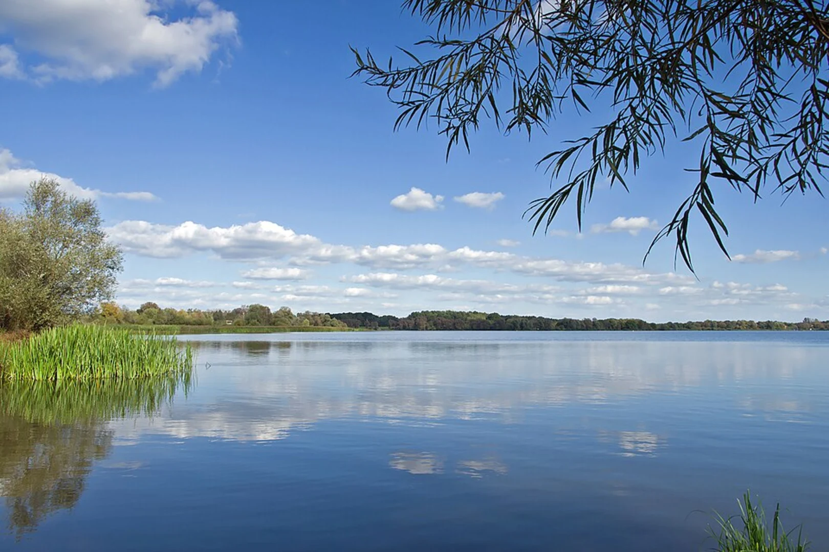 An image depicting the trail Wendland Rundweg and its surrounding area.