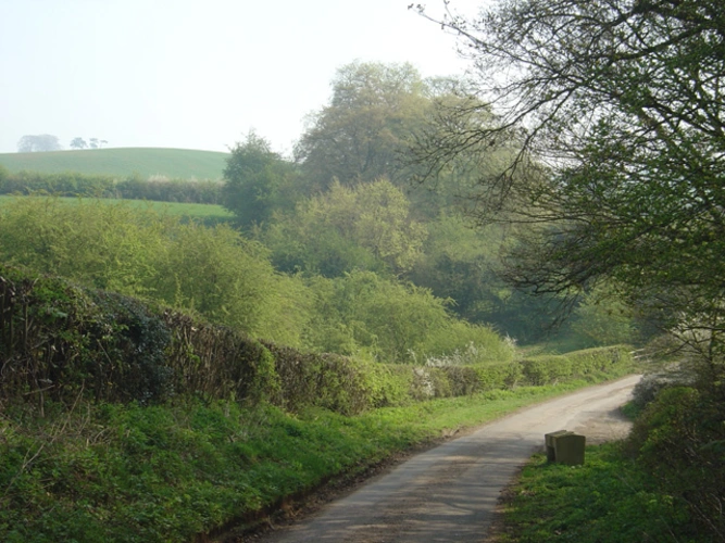 Draycott in the Clay from Hanbury
