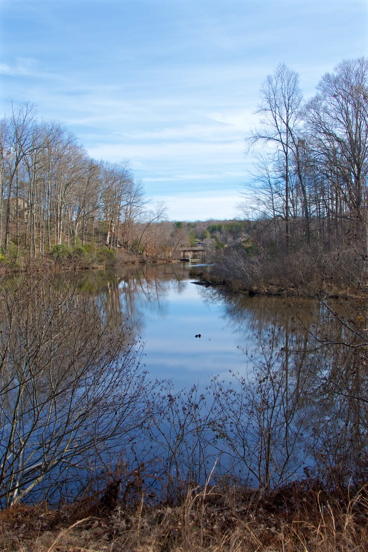 An image depicting the trail Fisher's Point in Lake Anna State Park and its surrounding area.