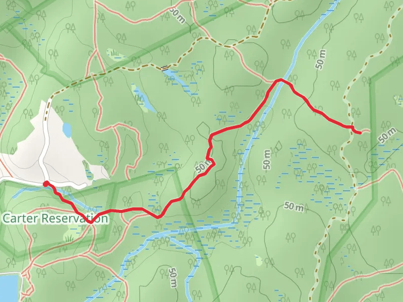 Mongrel Trail - Dogtown Woods