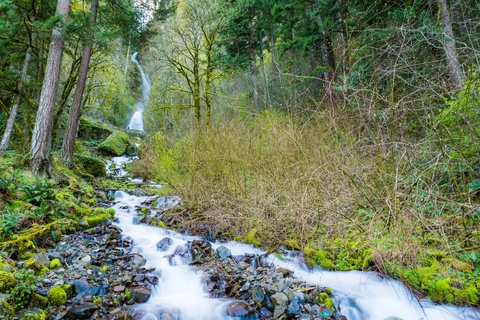 Angel's Rest Trail