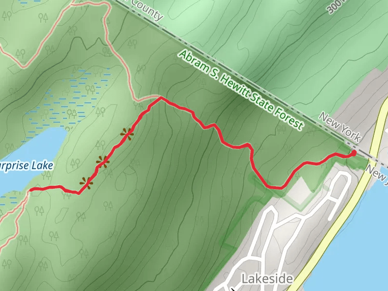 Surprise Lake via State Line and Ernest Walter Trail