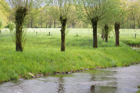 Elbertsbosch, Noordmolen and De Haar Loop