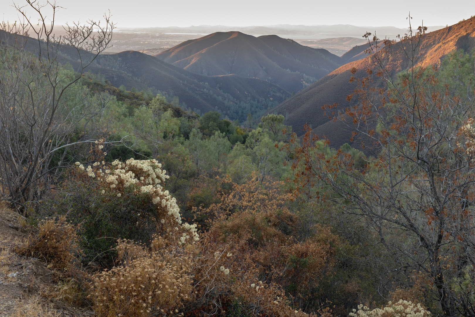 An image depicting the trail Mitchell Creek, ADT, Mount Diablo and Mokelimne Coast to Crest Trail and its surrounding area.
