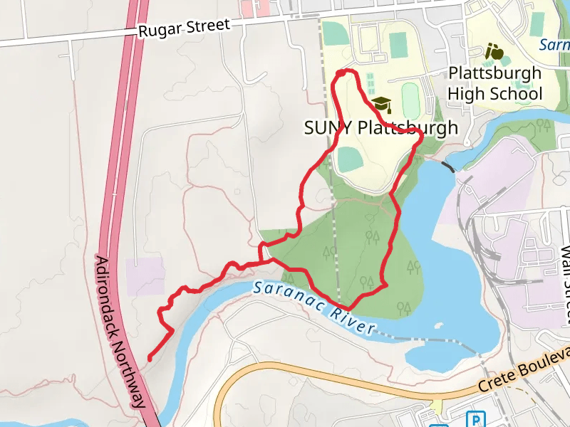 Chip Cummings Field Loop