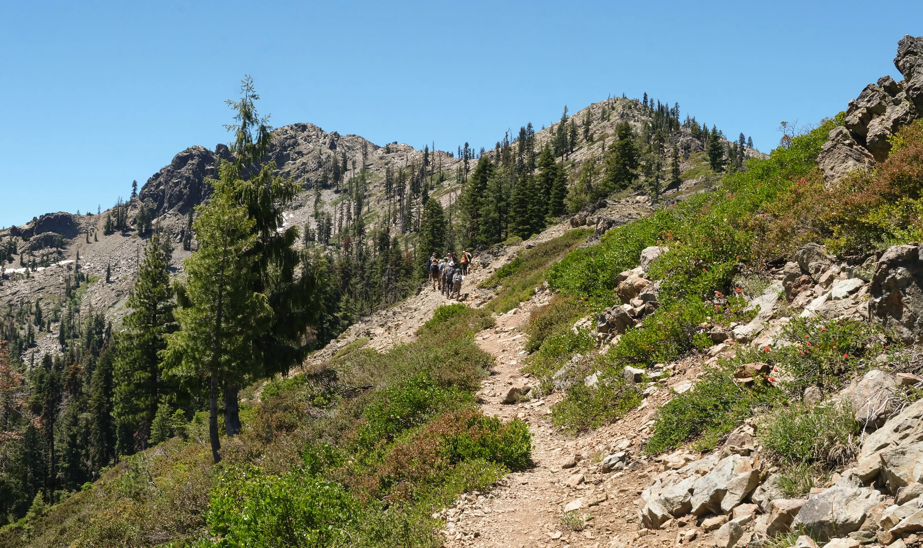 An image depicting the trail Chipmunk Meadow Trail and its surrounding area.