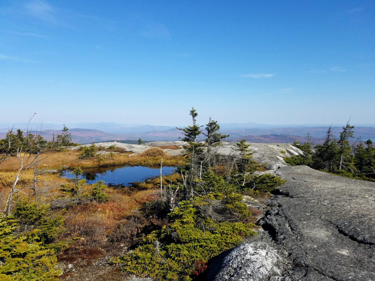 An image depicting the trail Firescrew Mountain and Cardigan Peaks Loop Trail and its surrounding area.