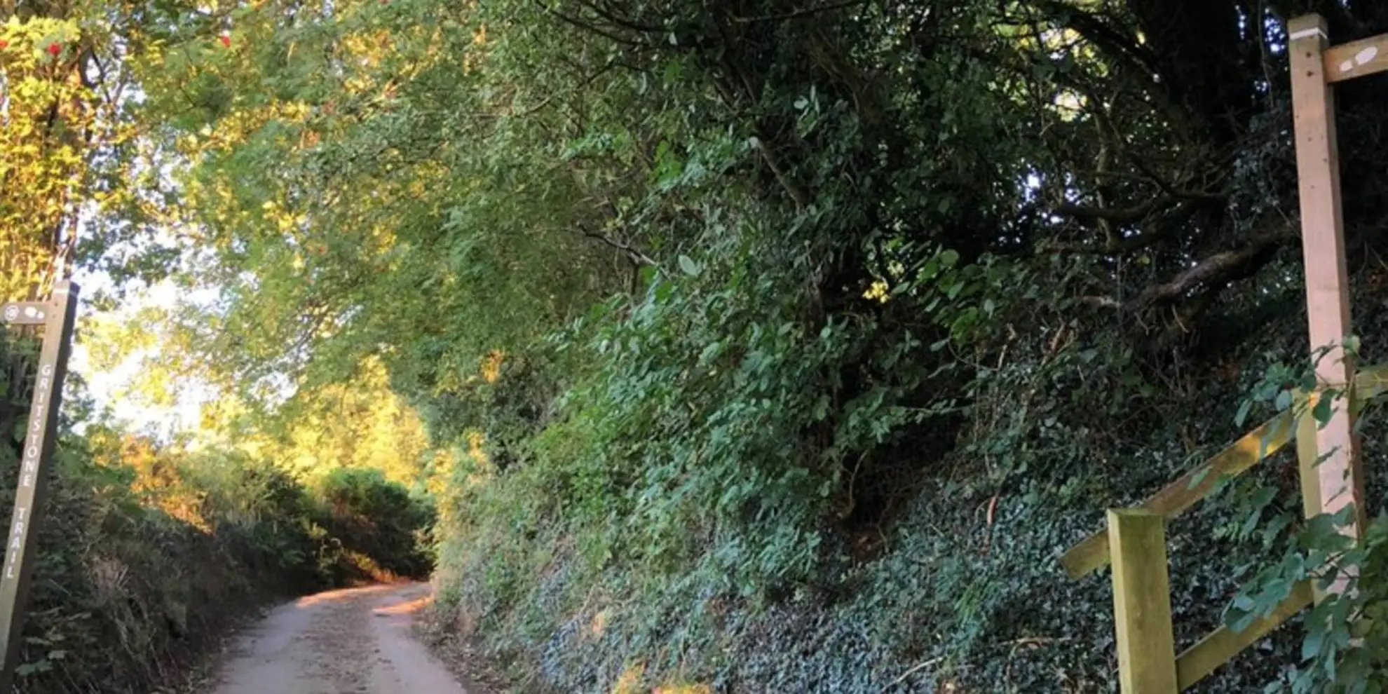 An image depicting the trail Gritstone Walk - Staffordshire and its surrounding area.