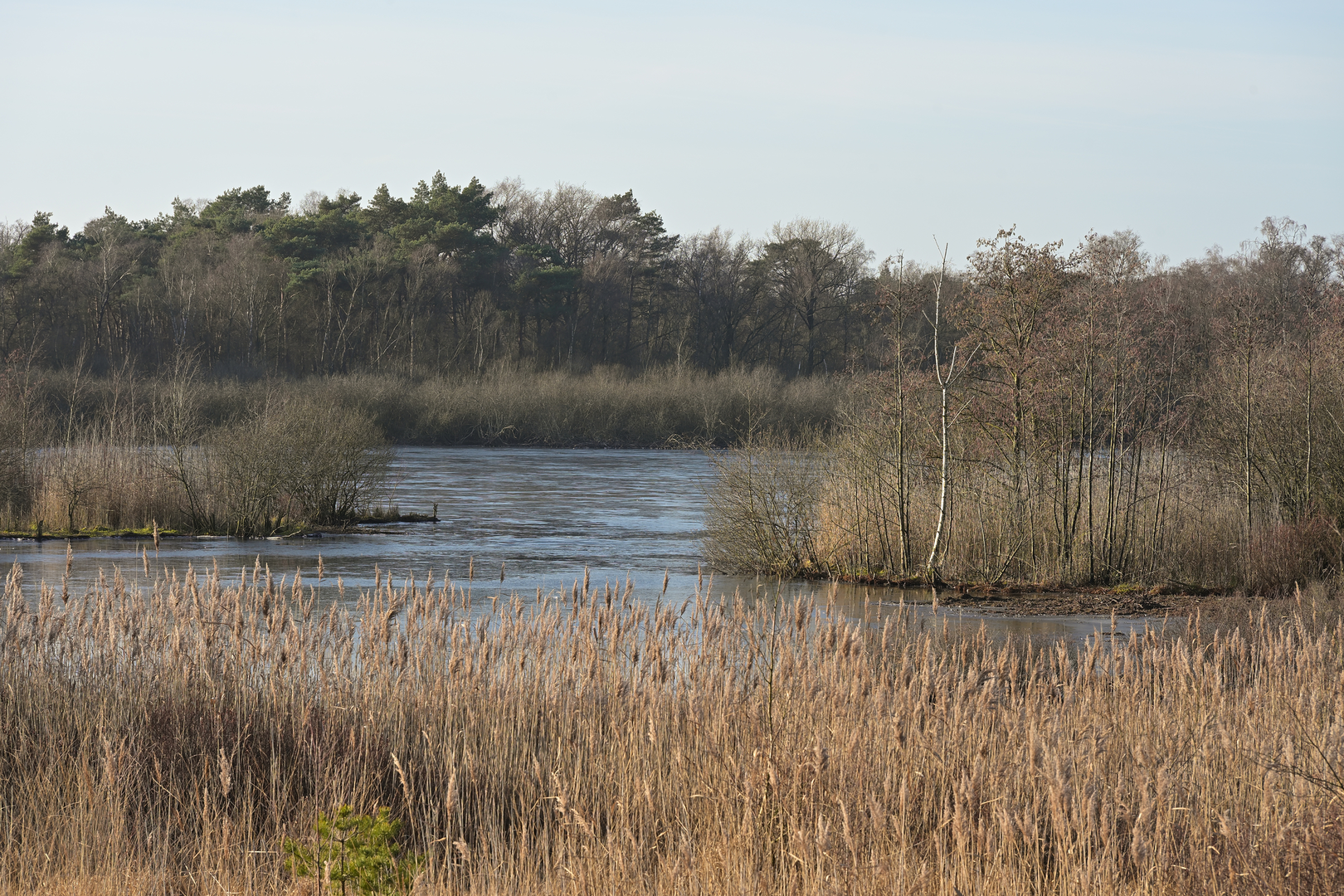 An image depicting the trail Uitzichttoren, Banisveld and Mariadreef Loop and its surrounding area.
