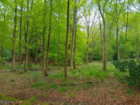 Kintbury to Inkpen Loop