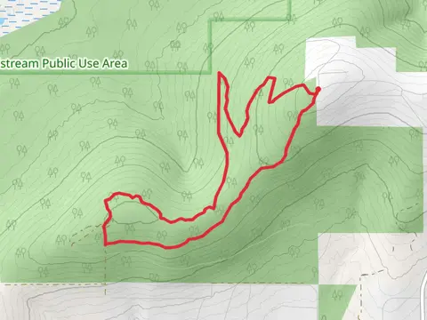 Skyline Ridge Park Loop