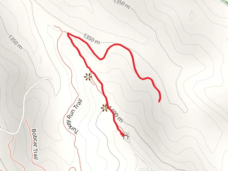 Cedar Ridge Trail