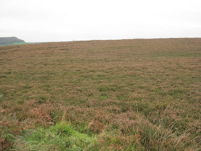 Lowna Bridge - Farndale and Harland Moor