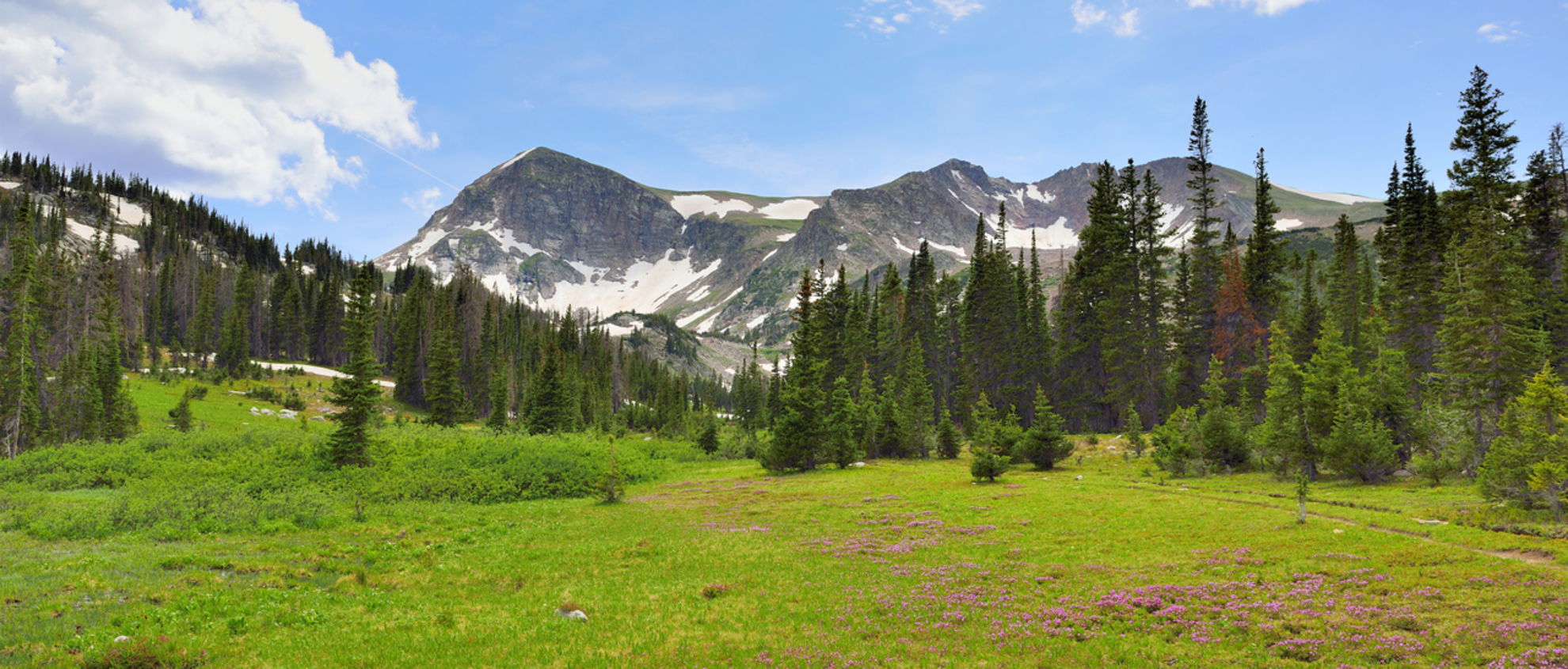 An image depicting the trail McIntyre Trail and its surrounding area.