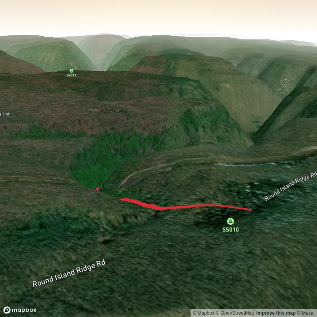 An image depicting the trail Round Island Run Falls and its surrounding area.