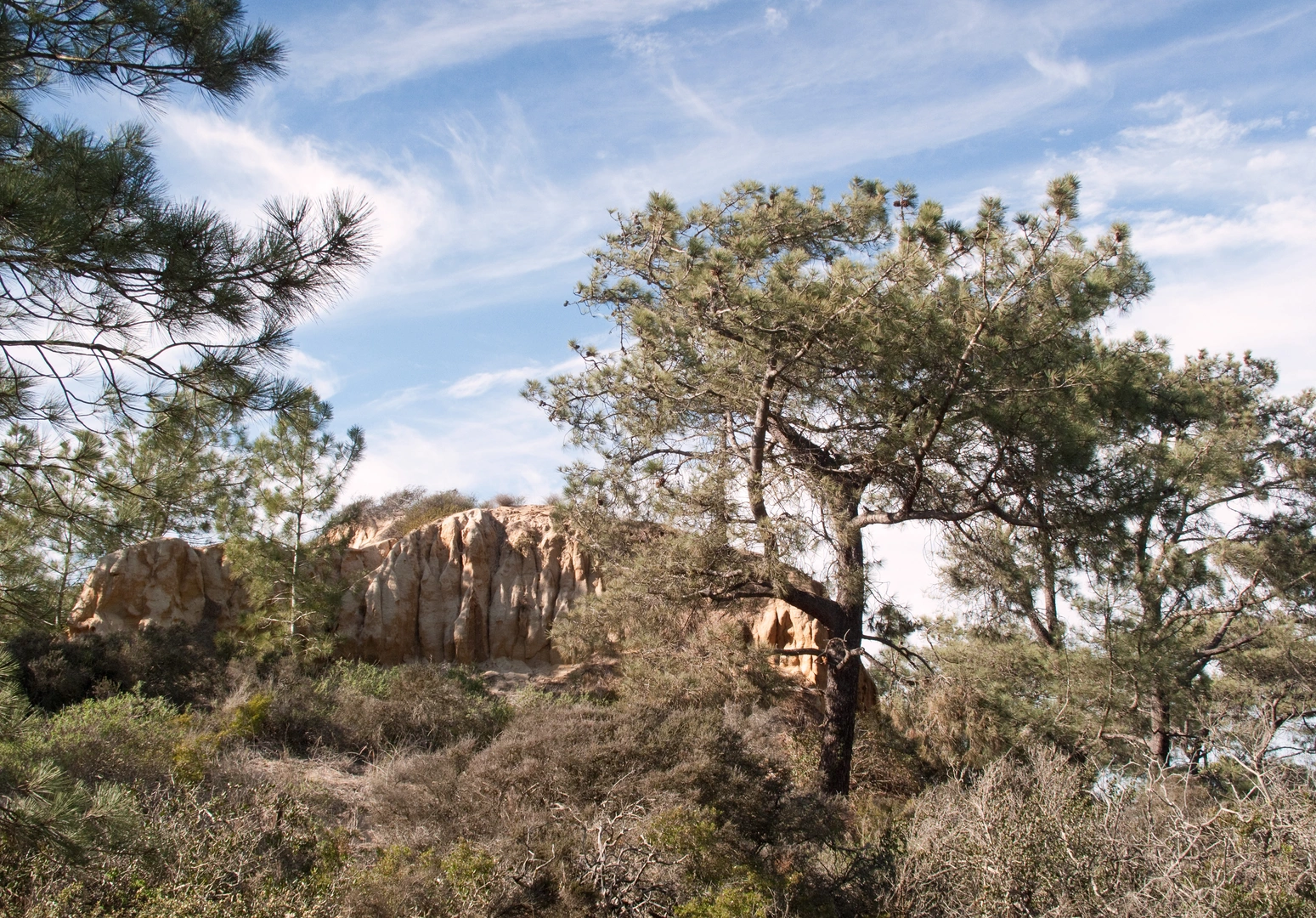 An image depicting the trail Mar Scenic Drive and its surrounding area.