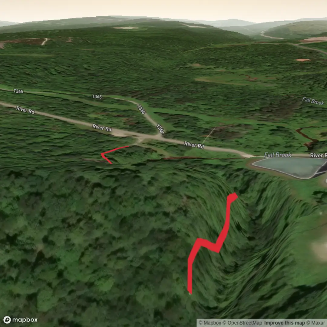 An image depicting the trail Fall Brook Falls and its surrounding area.