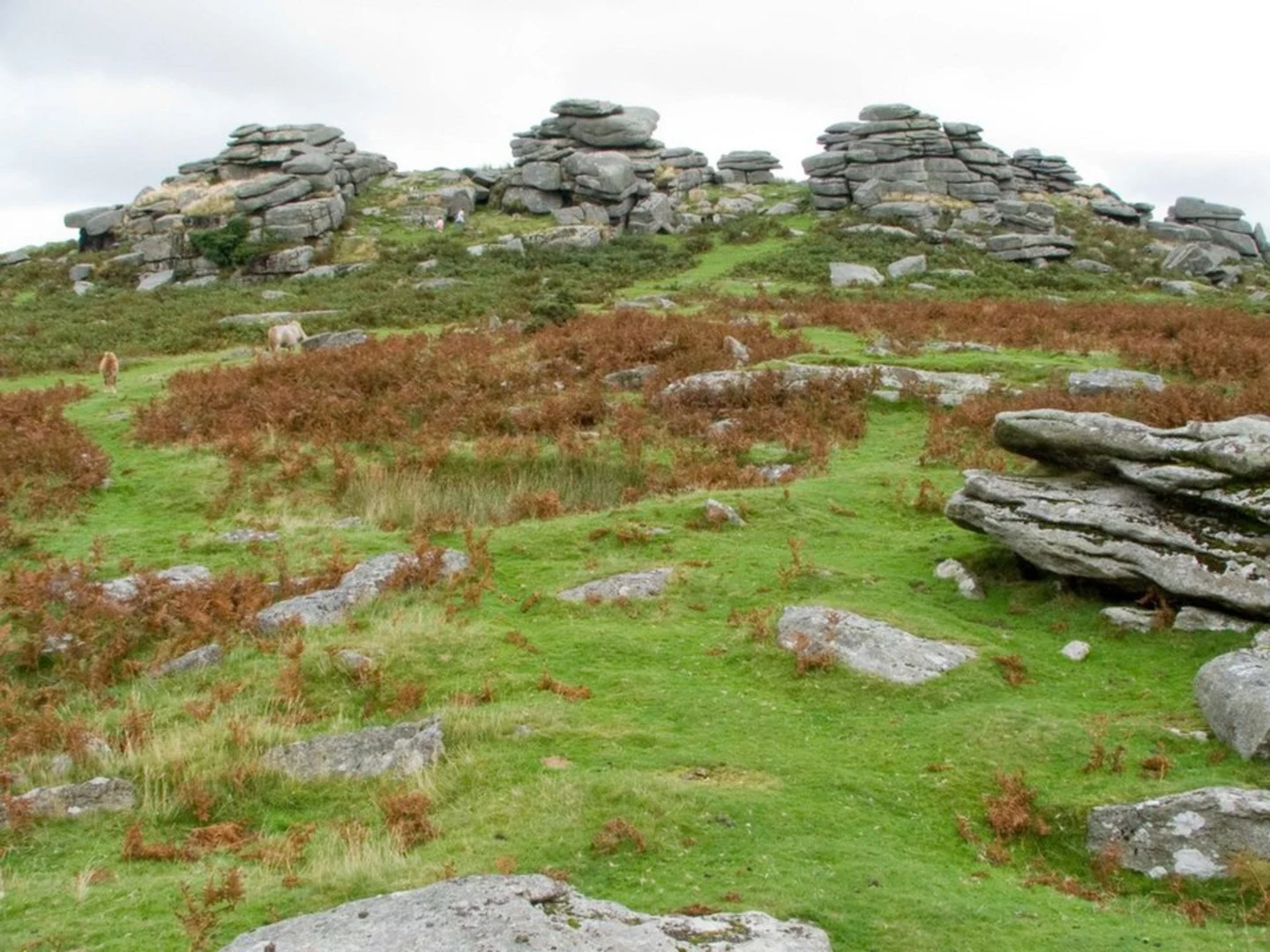 An image depicting the trail Pew Tor, Heckwood Tor and Feather Tor from Pork Hill Car Park and its surrounding area.