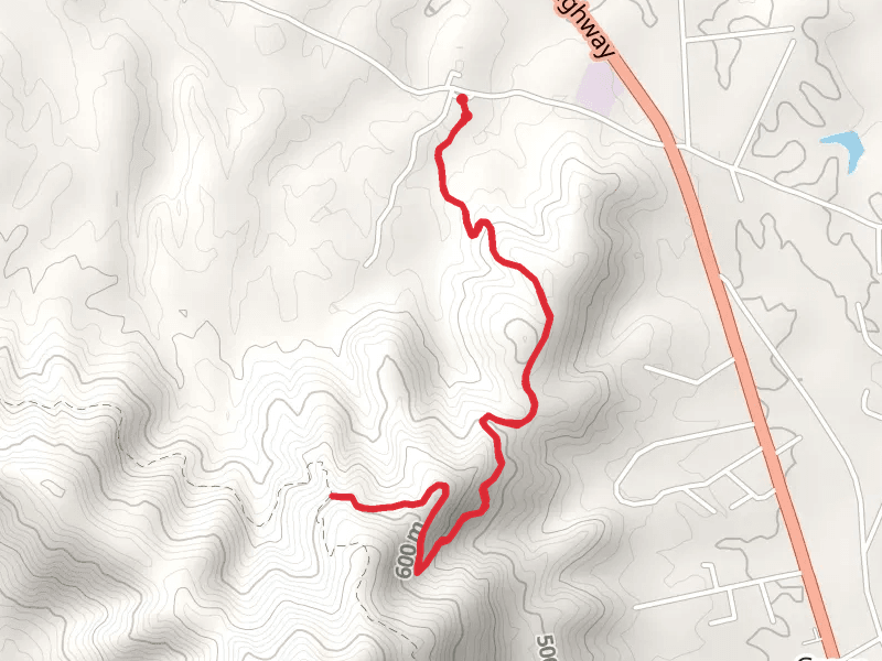 Lone Mountain State Forest Walk