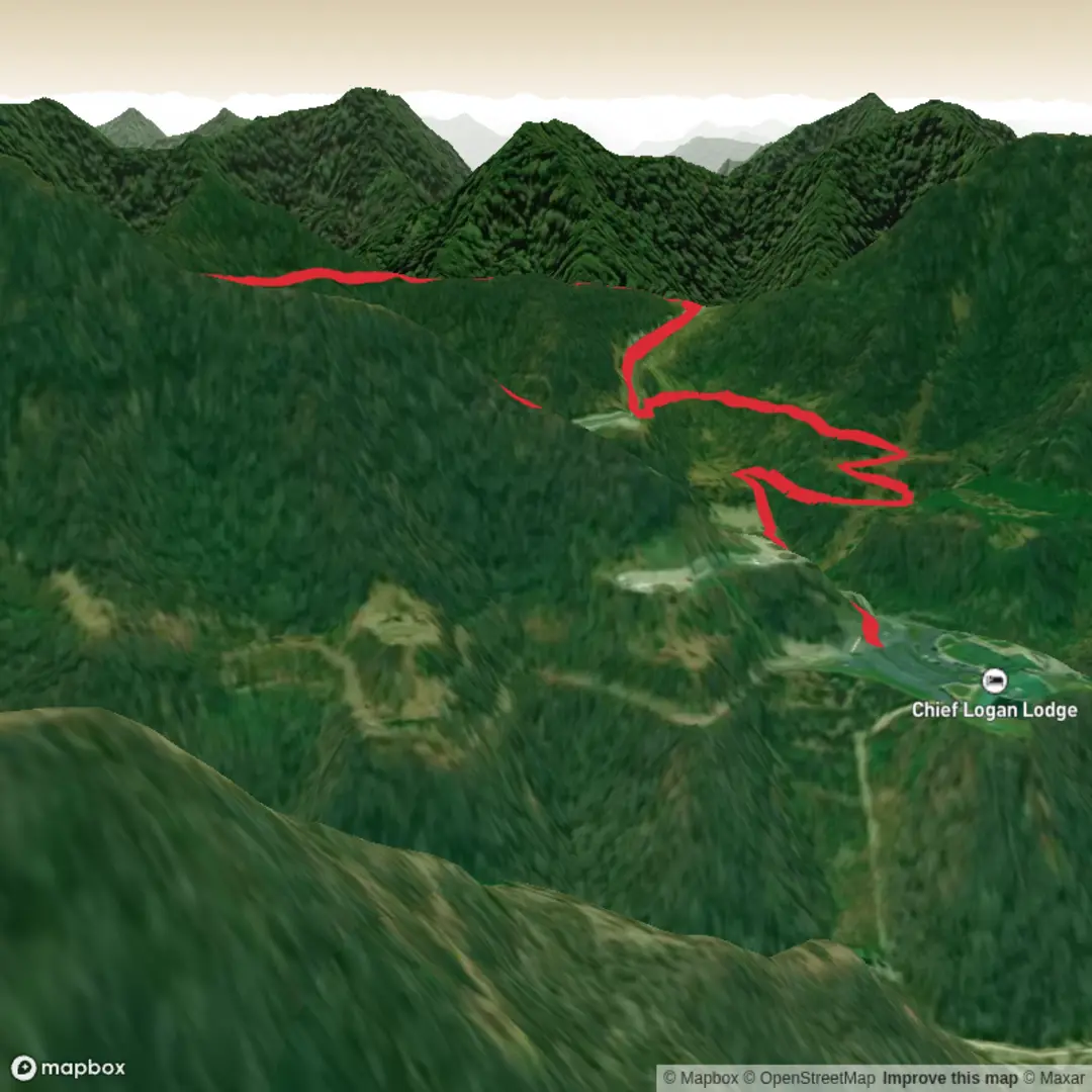 An image depicting the trail Wild Turkey Trail and Wilderness Trail and its surrounding area.