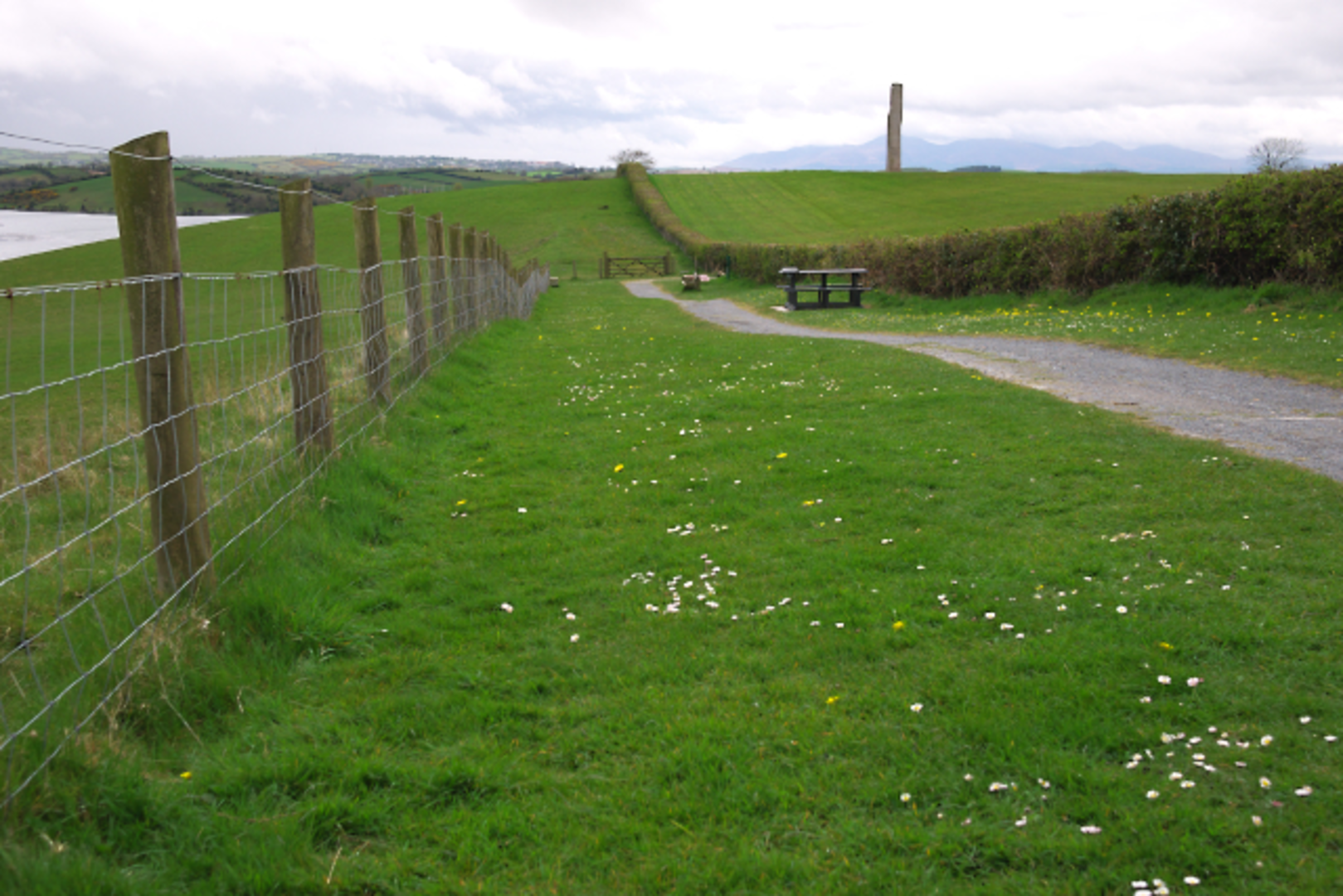 An image depicting the trail Delamont Mullagh Walk and its surrounding area.