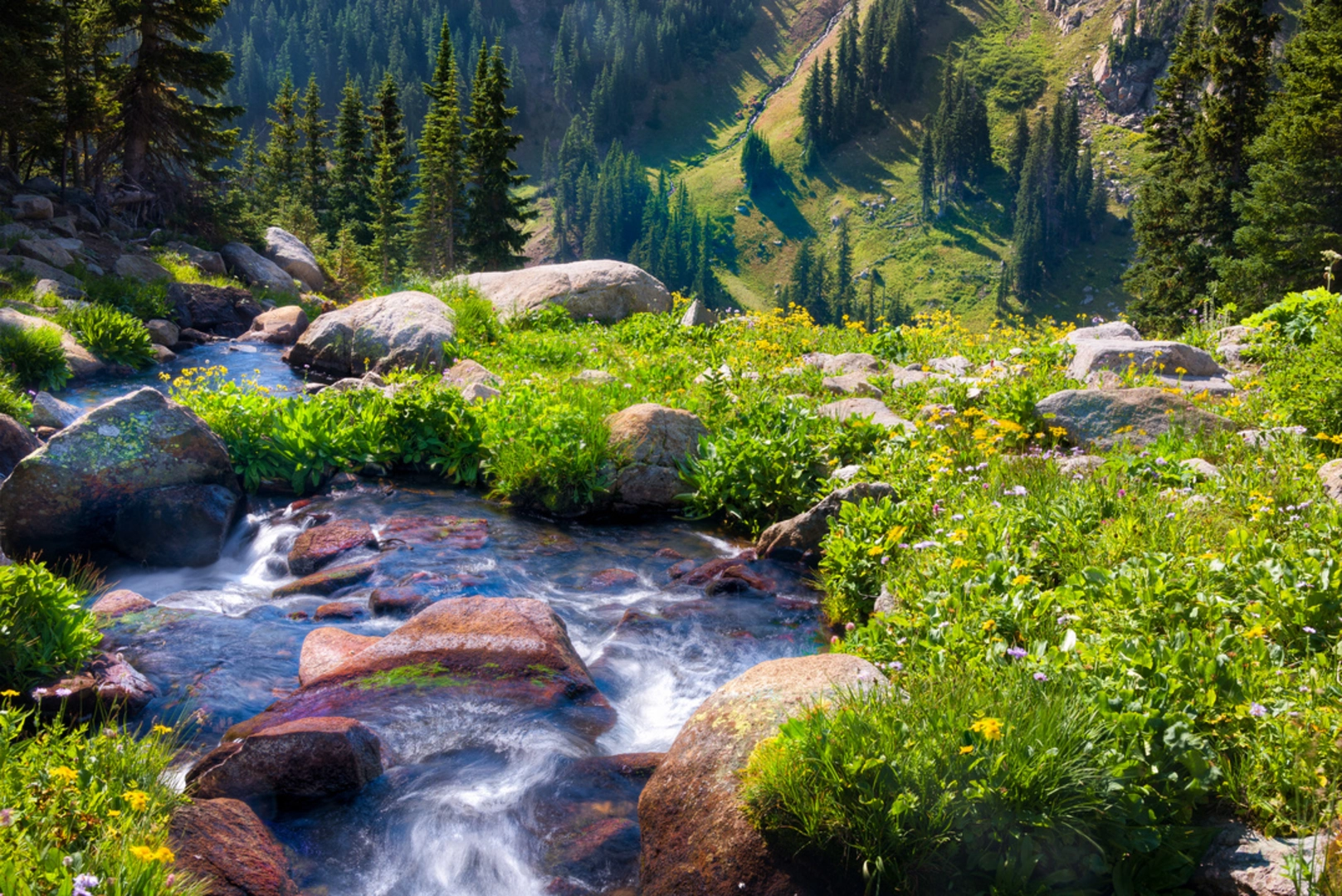 An image depicting the trail Boulder Brook Trail and its surrounding area.