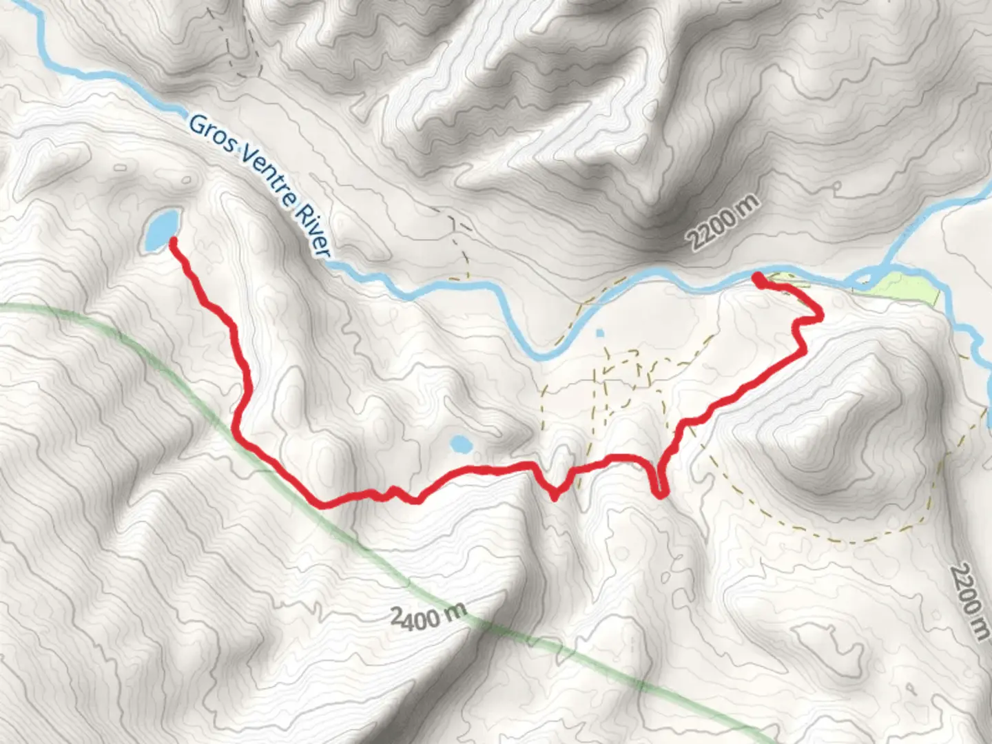 An image depicting the trail Grizzly Lake Trail and its surrounding area.
