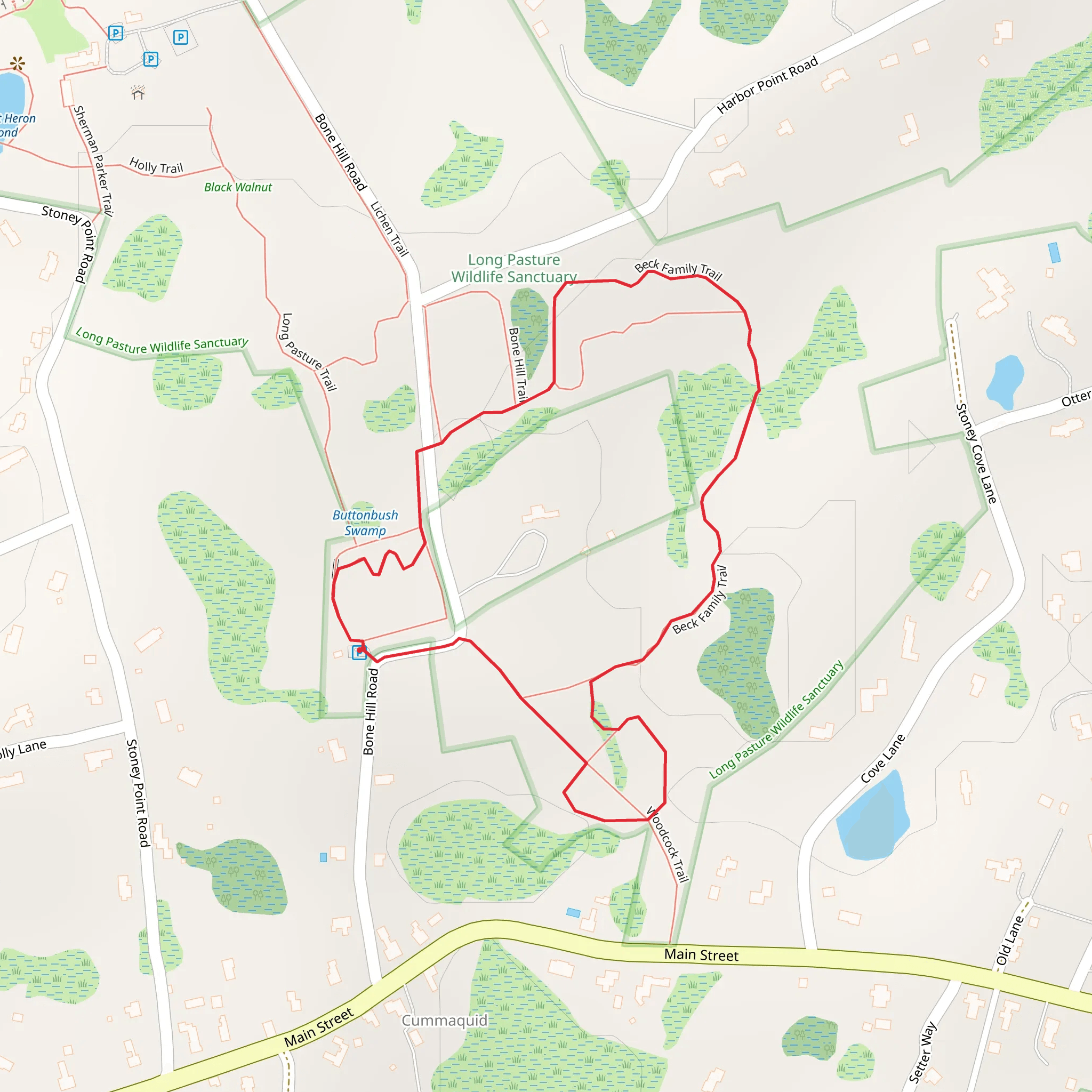 Beck Family Trail - Woodcock Trail mobile static map