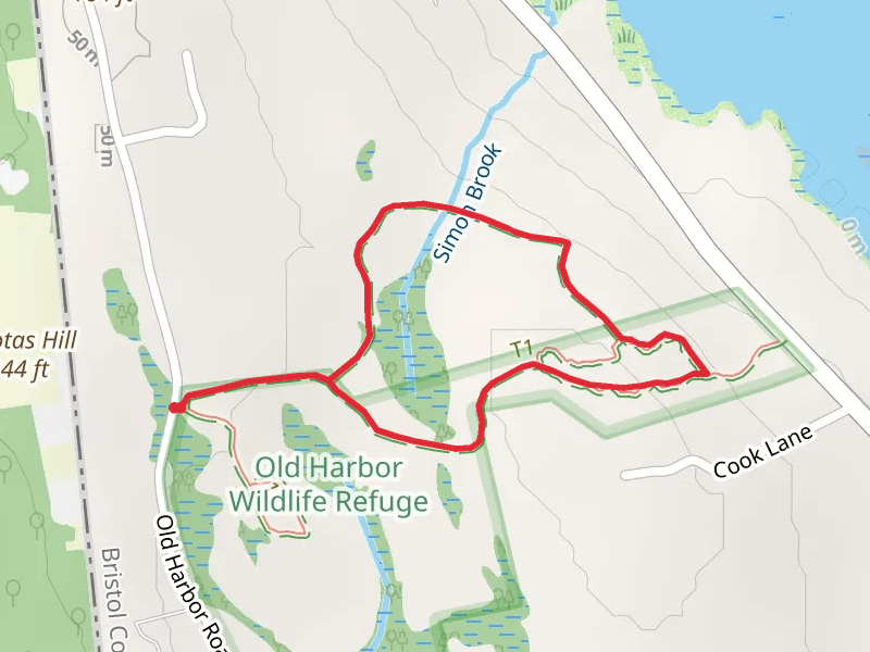 Simon Brook Loop Trail
