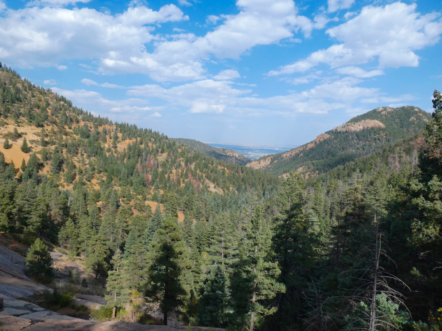 An image depicting the trail Pipeline Trail and its surrounding area.