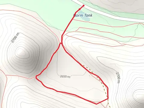 Lookout Meadow Loop Trail