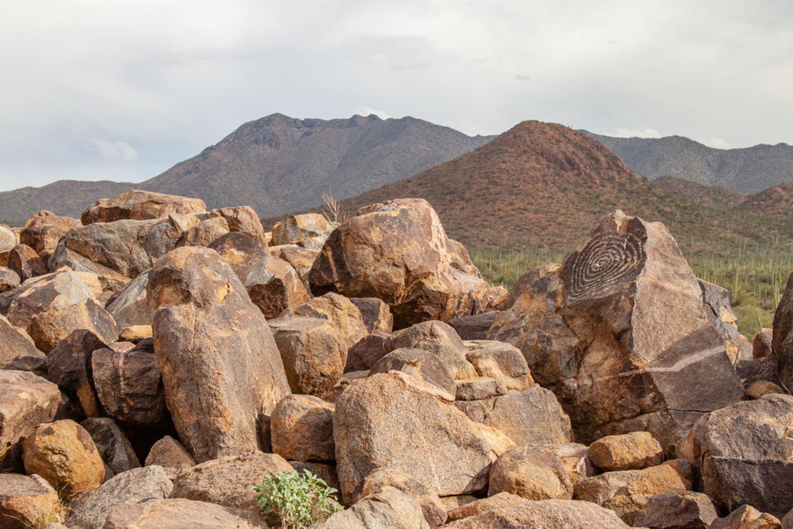 An image depicting the trail Picture Rocks Wash Trail and its surrounding area.