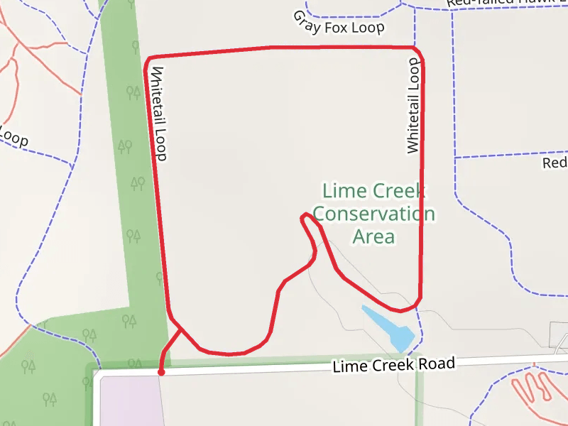 Whitetail Loop