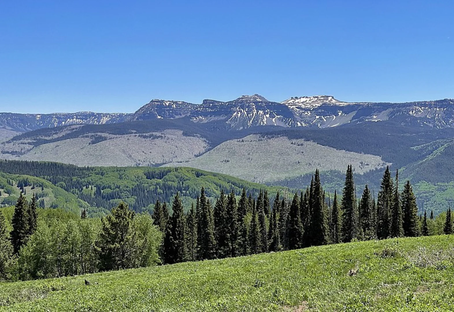 An image depicting the trail Mirror Lake Trail and its surrounding area.